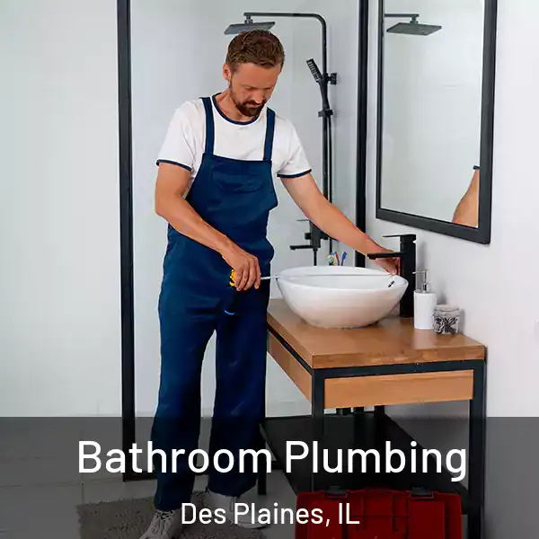  Bathroom Plumbing Des Plaines, IL