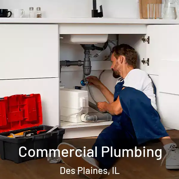  Commercial Plumbing Des Plaines, IL