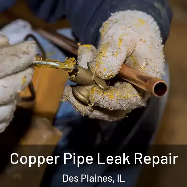  Copper Pipe Leak Repair Des Plaines, IL