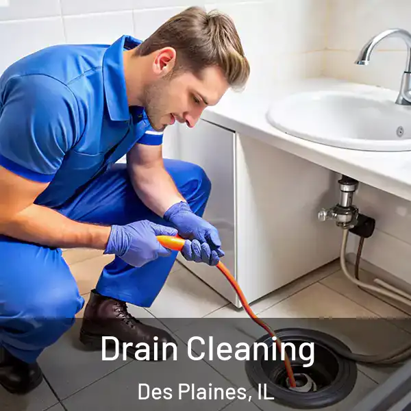  Drain Cleaning Des Plaines, IL