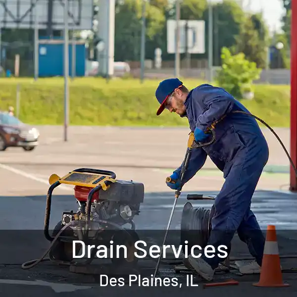  Drain Services Des Plaines, IL