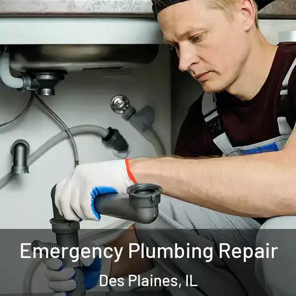  Emergency Plumbing Repair Des Plaines, IL