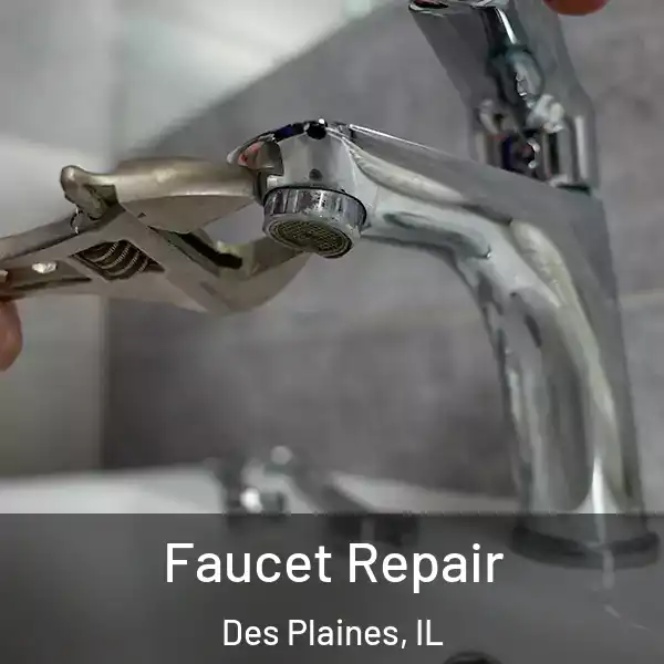  Faucet Repair Des Plaines, IL