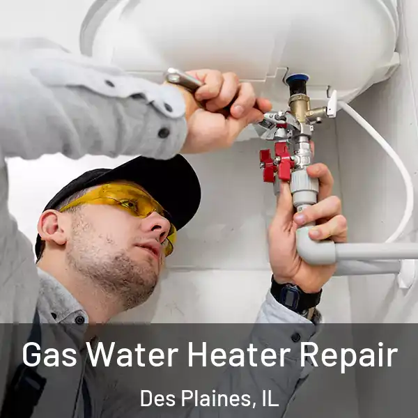  Gas Water Heater Repair Des Plaines, IL