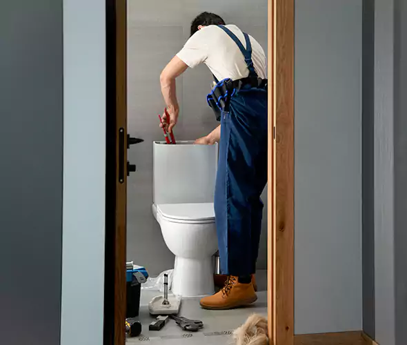 Professional Plumbers for Toilet Bowl Replacement in Des Plaines, IL: Schedule Affordable Toilet Replacement Services With Us