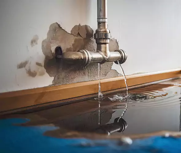 Professional Water Damage Restoration Experts in Des Plaines, IL — Fast, Reliable & Certified