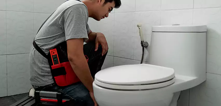 Toilet Repair in Des Plaines