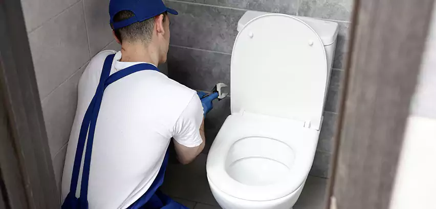 Toilet Lid Replacement in Des Plaines