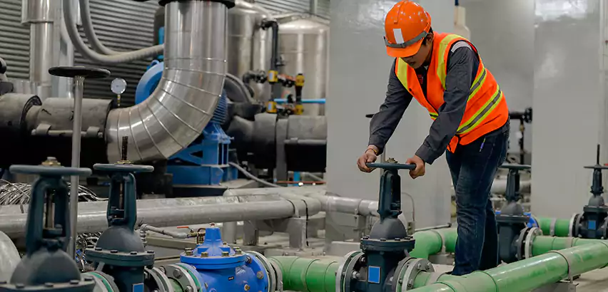 Top-Notch Trenchless Sewer Line Repair Services in Des Plaines, IL.
