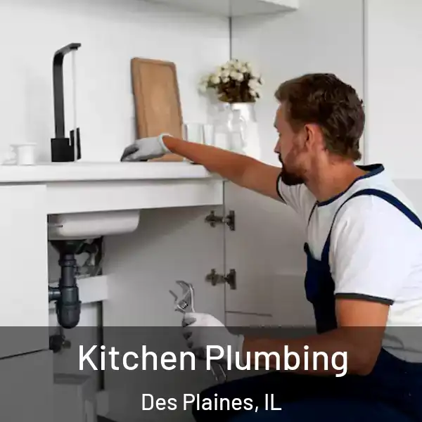 Kitchen Plumbing Des Plaines, IL