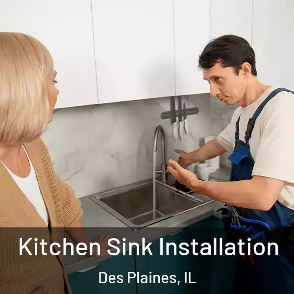  Kitchen Sink Installation Des Plaines, IL