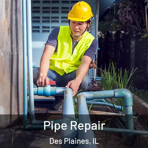 Pipe Repair Des Plaines, IL