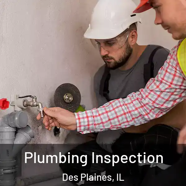  Plumbing Inspection Des Plaines, IL