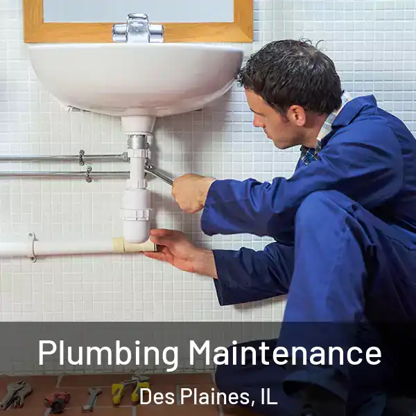  Plumbing Maintenance Des Plaines, IL