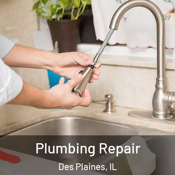  Plumbing Repair Des Plaines, IL