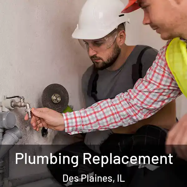  Plumbing Replacement Des Plaines, IL