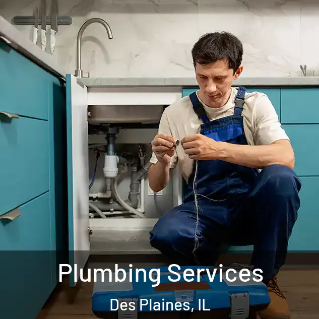  Plumbing Services Des Plaines, IL