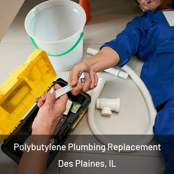  Polybutylene Plumbing Replacement Des Plaines, IL
