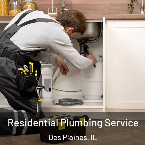  Residential Plumbing Service Des Plaines, IL