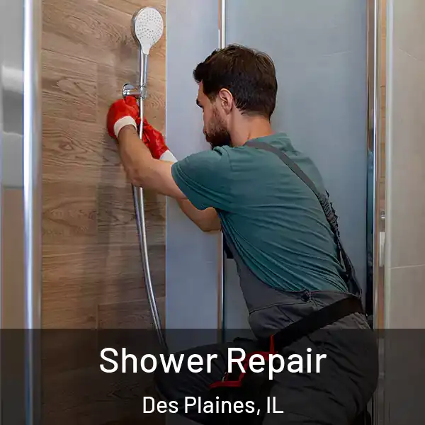  Shower Repair Des Plaines, IL