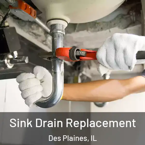  Sink Drain Replacement Des Plaines, IL