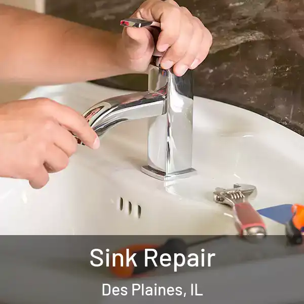  Sink Repair Des Plaines, IL