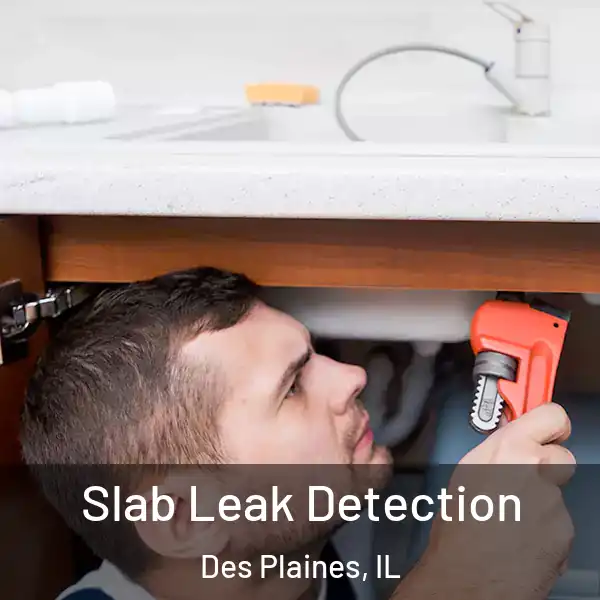  Slab Leak Detection Des Plaines, IL