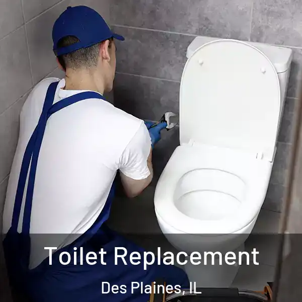  Toilet Replacement Des Plaines, IL