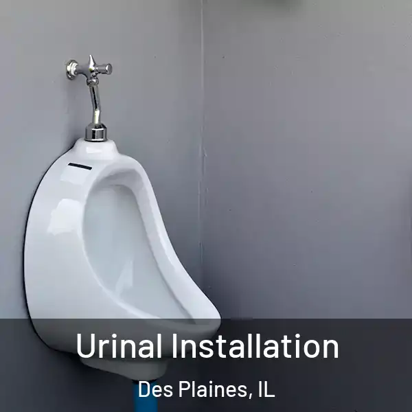  Urinal Installation Des Plaines, IL