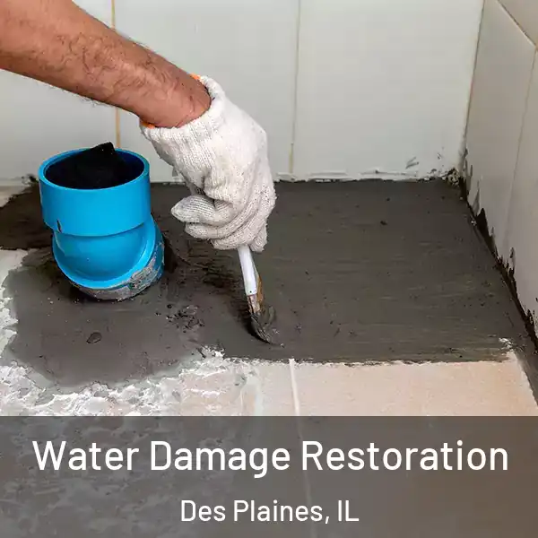  Water Damage Restoration Des Plaines, IL