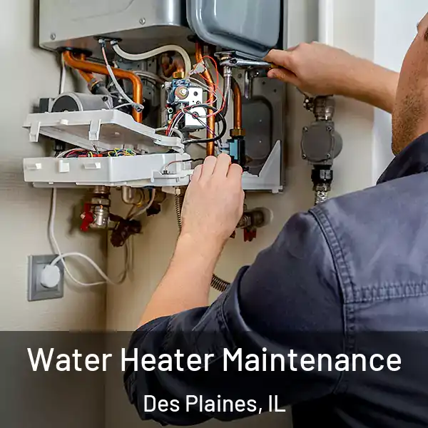  Water Heater Maintenance Des Plaines, IL